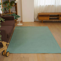 スミノエ コンシェルジュ オーダーラグ ウールレックス 1600×2850mm ブルー AS-WR29-BL160285 1枚（直送品）