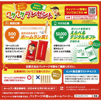 協同乳業（株） [アイス] 協同乳業 ホームランバーバニラ＆チョコ 45ml×10本×8箱 4901385001780 8個（直送品）