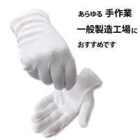 小野商事 スムス手袋 品質管理用 純綿 マチ無し LLサイズ AG600LL 1セット(1袋(12双)×10)