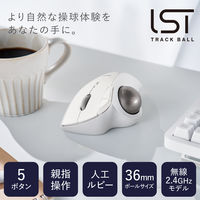 トラックボール マウス ワイヤレス 無線 IST 5ボタン 人工ルビーユニット 白 M-IT10DRWH エレコム 1個（直送品）