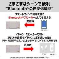 東芝 TY-AN2（W） 1台