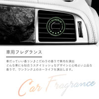 ランドリン 車用フレグランス マスカットスカッシュの香り 1セット（4個）