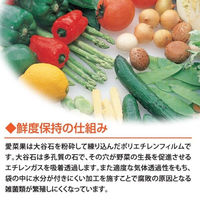鮮度保持袋 野菜・果物専用 愛菜果 L 1セット（5枚入×3パック） 関西紙工