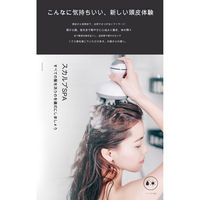 CRECOTE 電動頭皮ブラシ　Ｓｍａｒｔ　Ｓｃａｌｐ　Ｍａｓｓａｇｅｒ　ＳＴー７０１（白） ST-701(W) 1台（直送品）