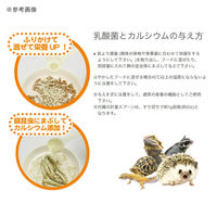 三晃商会 乳酸菌とカルシウム 60g 265660 1個（直送品）