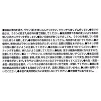 エステバン イリスカシミア デコラティブラタンブーケ 芳香剤 本体 100ml 1個 日本香堂