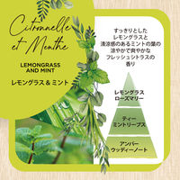 インテリアガーデンナチュール レモングラス＆ミント ラタンディフューザー 芳香剤 本体 100ml 1個 日本香堂