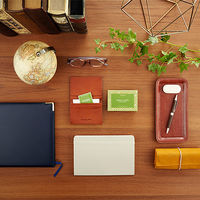 エステバン カードフレグランス イリスカシミア 5枚入 日本香堂