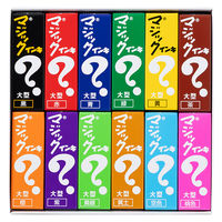 寺西化学工業 マジックインキ 大型 12色セット ML-12 1セット