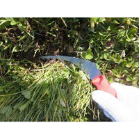 大進 フィットグリップ雑草取り 4939736701799 1個（直送品）