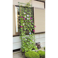 第一ビニール サイドロープ付 緑のカーテンネット 1.8×5m 4968438013145 1個（直送品）