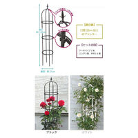 第一ビニール スモールオベリスク 120cm 4968438015934 1個（直送品）