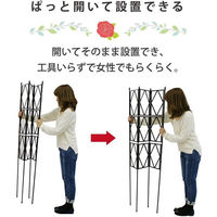 第一ビニール ローズトレリス 幅60cm×高さ150cm 4968438020266 1個