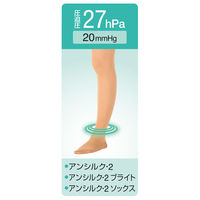 アルケア アンシルク・2 ストッキング(つま先あり) 18485 1足(2本)