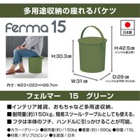 JEJアステージ フェルマー 15 グリーン 4528302650137 1ケース(4個入)