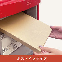 発送用A4サイズBOXダンボール 縦310×横228×マチ24mm 1セット（5枚：1枚入×5パック）SP6302 今村紙工