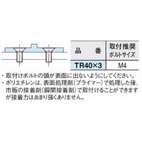 イマオコーポレーション ウェアストリップ(T型レール) TR TR40ー3 1セット(3個)（直送品）
