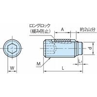 クランピングスクリュー|パッド付スクリュー(ロングロック付) LHSSB・LHSSP LHSSP05ー13 1セット(5個)（直送品）