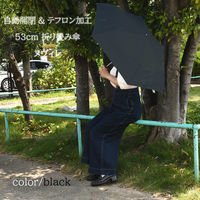 スギハラ 折りたたみ傘 ヌヴィレ 53cm 自動開閉 ポンジ ブラック (1セット:3本入) 4947272480061 1セット(3本入)（直送品）