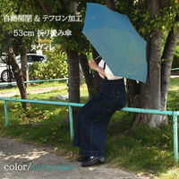 スギハラ 折りたたみ傘 ヌヴィレ 53cm 自動開閉 ポンジ ターコイズ 4947272480115 1セット(1本×3)