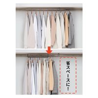 伸晃 ダブル収納ハンガー 伸縮タイプ 1台入り ブラック (1セット:5個入) 4964806025611 1セット(5個入)（直送品）