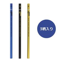 クツワ PUMA(プーマ) メタリック鉛筆 2B プラ箱入 PM448 1個