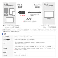 USB Type-C to DisplayPort 変換アダプター コンパクトタイプ VV-UCDP-SV Vodaview