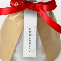 【生花】アデリー スタンディングブーケ　ルージュ８本　タグ付き「お世話になりました」 FMA-01C-F 1箱（直送品）