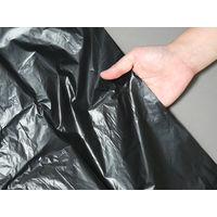 ゴミ袋 業務用ポリ袋 nocoo 黒 低密度 20L 厚さ:0.030mm 1袋（10枚入）日本サニパック