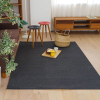 スミノエ コンシェルジュ オーダーラグ バンジュール 2750×4250mm ダークグレー AS-BJ103-DGY275425 1枚（直送品）