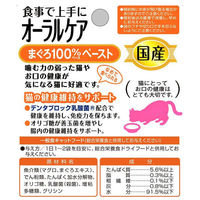 （お得なアソート）健康缶 オーラルケア 40g アソート 72個（3種×24個）アイシア キャットフード 猫 パウチ