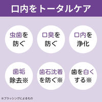 マウスウォッシュ 洗口液 薬用デンタライフ トータルケア ストロングミント 強アルコール 1000ml 1セット（6本）医薬部外品 ロケット石鹸