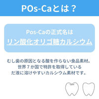 マウスウォッシュ 液体ハミガキ Pos-Ca デンタルリンス クリアミント ノンアルコール 600ml 1本 ロケット石鹸