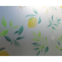 明和グラビア GH-4621 46cm丈×90cm巻×2本組 1セット(2本入)（直送品）