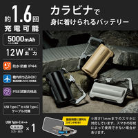 モバイルバッテリー 防水 防塵 IP44 USB-C 最大 12W 5000mAh DE-C35L-5000BE エレコム 1個