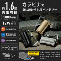 モバイルバッテリー 防水 防塵 IP44 USB-C 最大 12W 5000mAh DE-C35L-5000BK エレコム 1個