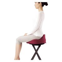 アルファ 仙骨クッション 仙律 621621 ブラウン　1個（直送品）