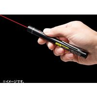 サンワサプライ 赤色レーザーポインター LP-RD315BKN 1個（直送品）