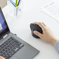 サンワサプライ ワイヤレスマウス 無線 静音 5ボタン 大型 ブルーLED MA-EWBS513BK 1個