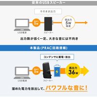サンワサプライ ハイパワーUSB電源スピーカー MM-SPL19UBK 1個（直送品）
