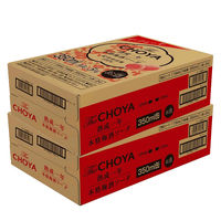 チューハイ 酎ハイ CHOYA ザ・チョーヤ 熟成一年本格梅酒ソーダ 350ml 2ケース（48本）
