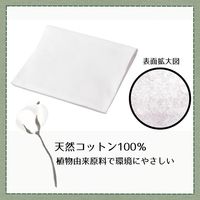 からだふき　ドライタオル