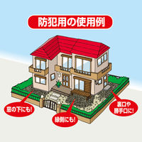 アサノヤ産業 撒くだけ簡単 草よけ・防犯の音ジャリ パールホワイト 4935682032468 1セット(1袋×6)