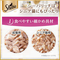 シーバ リッチ キャットフード 猫 18歳以上 3種のセレクション 鶏ささみと海のアソート（35g×6袋入）3個 パウチ ウェット