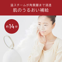 小泉成器 フェイススチーマー KBEー1530/W 1台