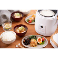 アルファックス・コイズミ 2合炊き ミニライスクッカー ARCーT2001/W 1台