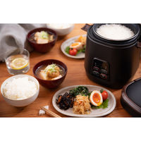 アルファックス・コイズミ 2合炊き ミニライスクッカー ARCーT2001/K 1台