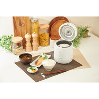 アルコレ ミニ炊飯器 ホワイト ARC-1501/W 1台
