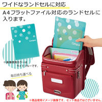 コクヨ キャンパス プリントファイル(見開きタイプ) パープル フ-C755V 1セット(1枚×5)