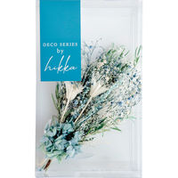 Monoーya 【2箱セット】hikka ボタニカルスワッグM 23-0258-060 1セット(2箱)（直送品）